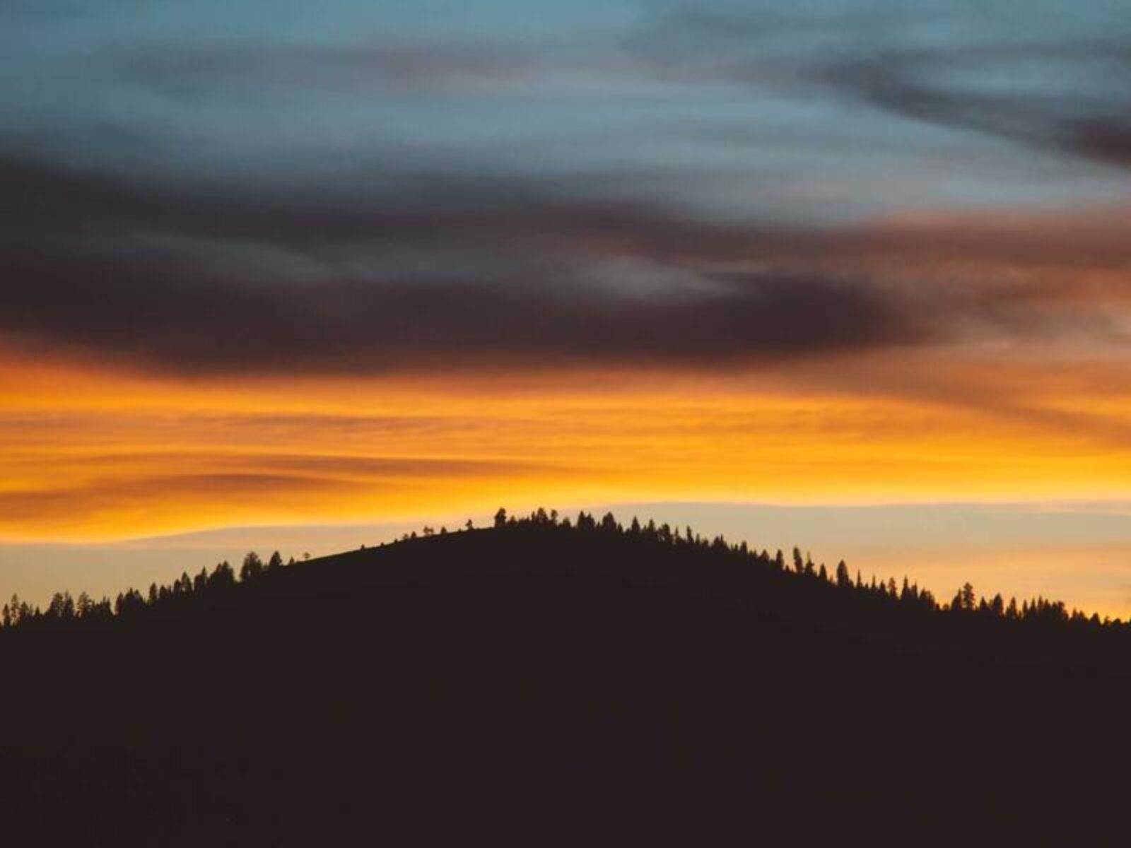 響應式設計（RWD）的優勢：為什麼您的網站必須行動裝置友好？