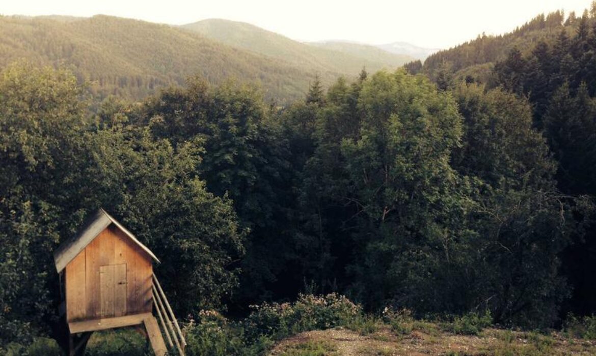 重複內容的隱藏風險：如何檢測與修復提升SEO？