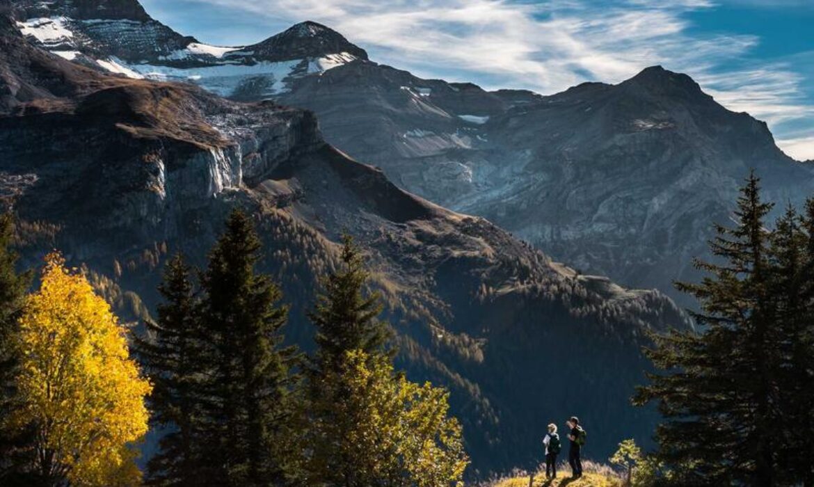 社交媒體與SEO結合：如何讓你的品牌更上一層樓