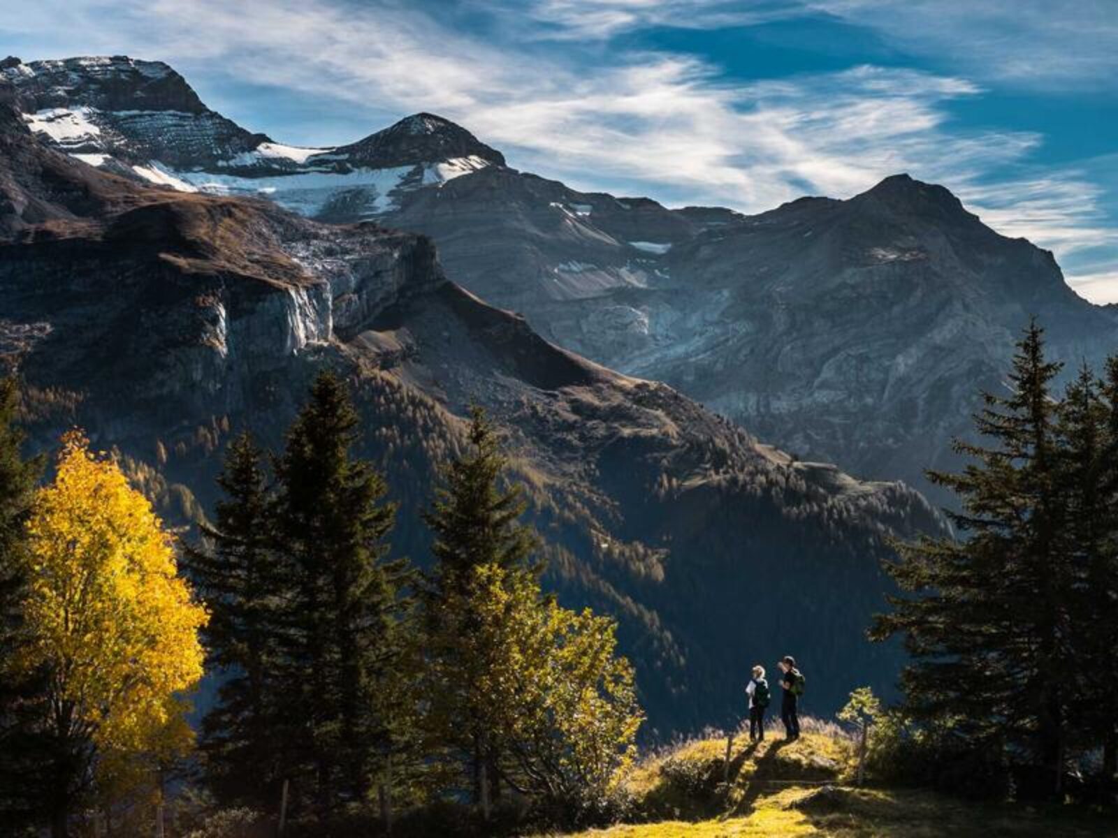 社交媒體與SEO結合：如何讓你的品牌更上一層樓