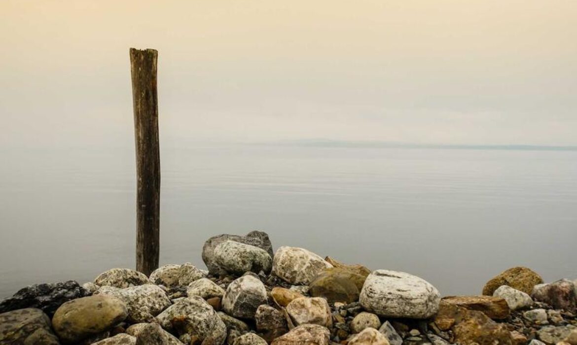 Mega Menu 設計指南：大型網站如何提升用戶探索效率