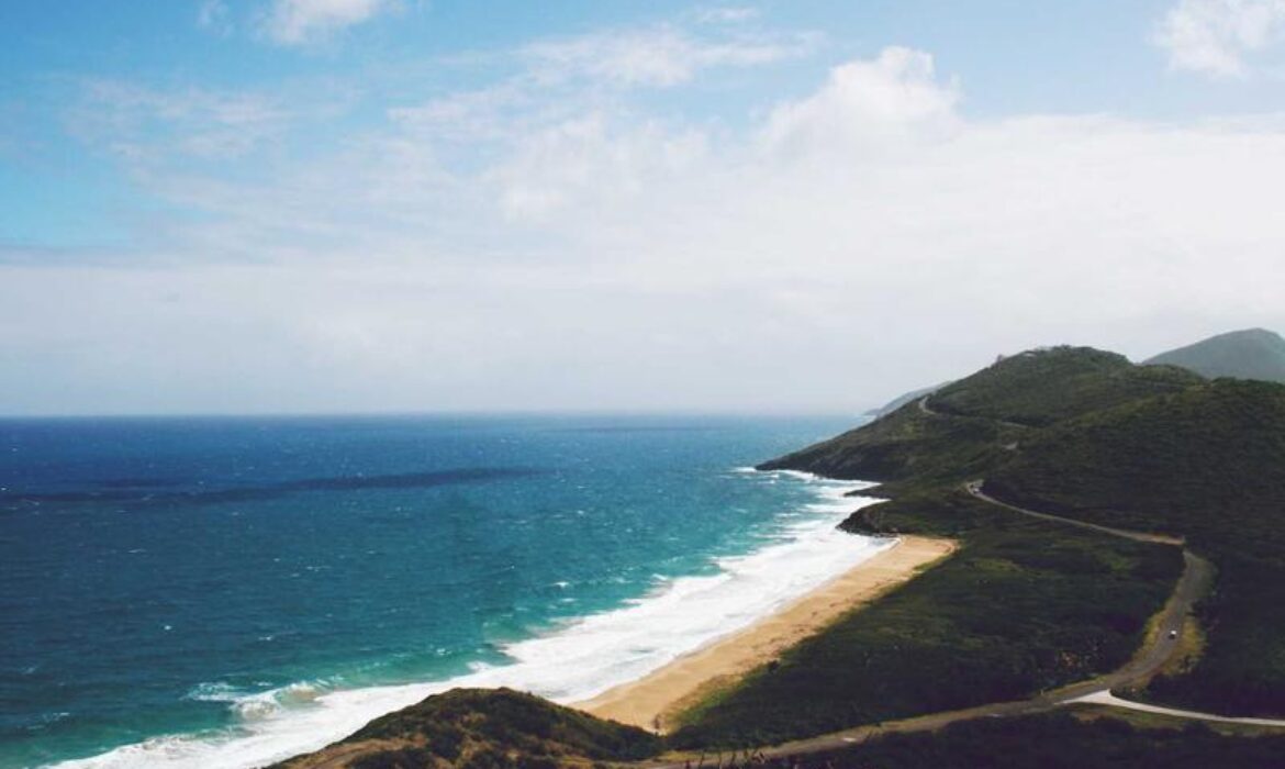 Mega Menu 設計指南：大型網站如何提升用戶探索效率