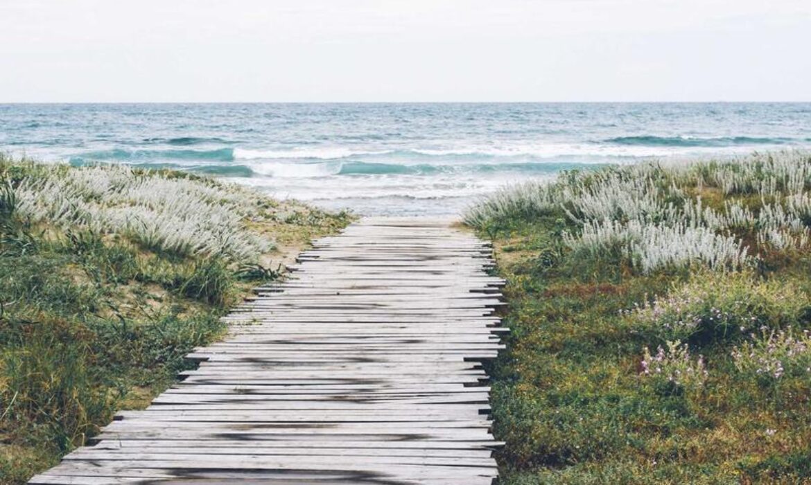 技術SEO檢查清單：提升網站速度與結構的必備步驟