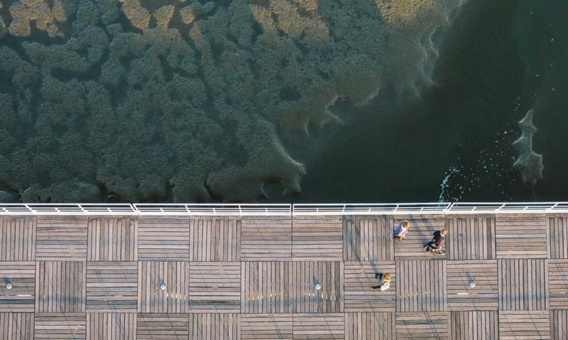 網站內容優化技巧：如何寫出搜尋引擎和用戶都愛的文章？