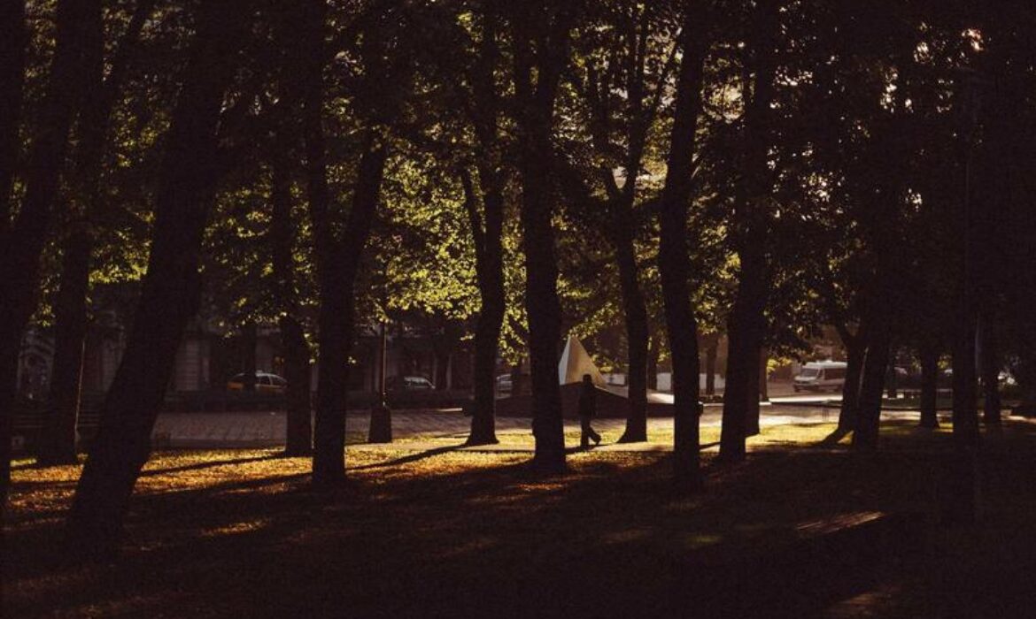 避免SEO常見陷阱：這些做法可能毀掉你的網站排名