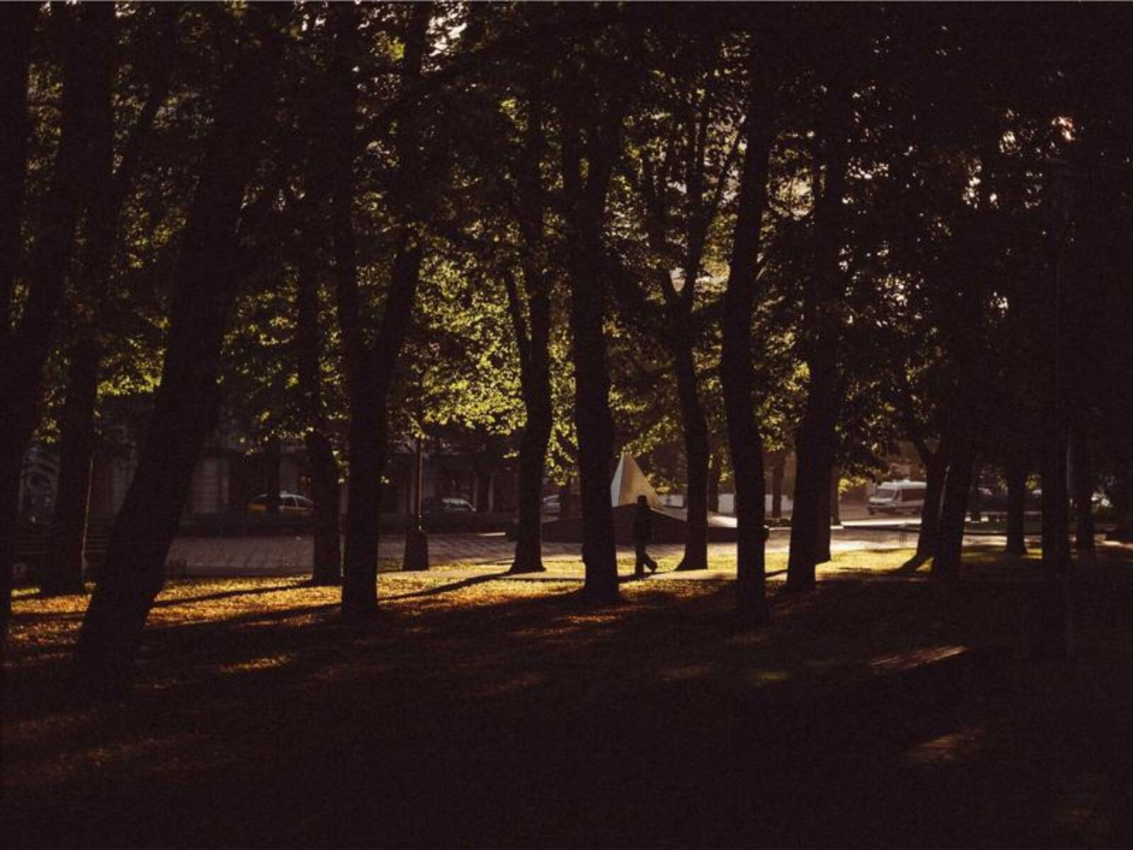 避免SEO常見陷阱：這些做法可能毀掉你的網站排名