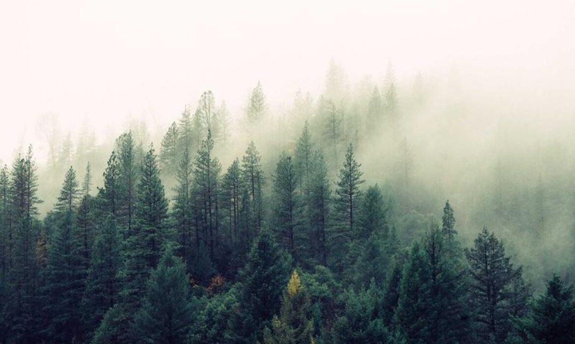 【2025必看】香港市場營銷SEO指南：網站製作到推廣全攻略！