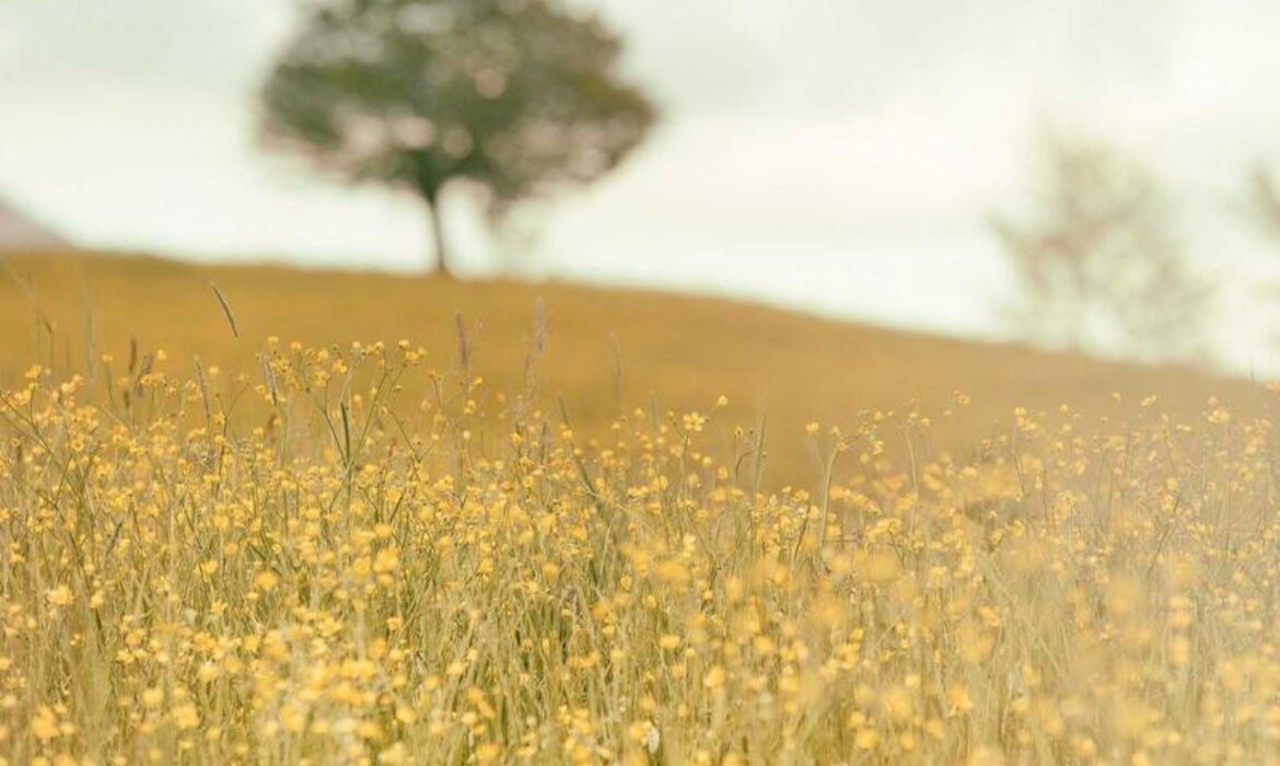 2025必學網站SEO三大策略：Marketing Pro助你香港營銷突圍！