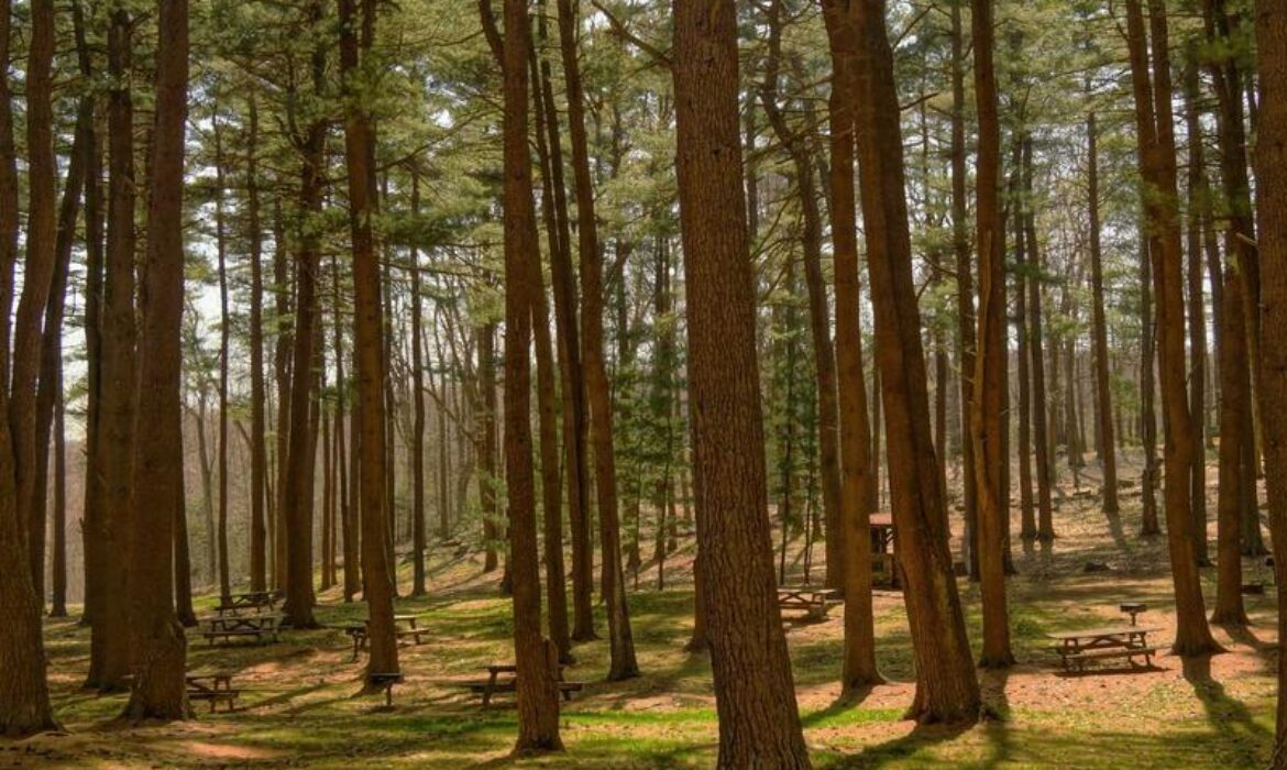 【2026 OpenClaw AI助手完全教學】香港企業如何利用AI工具提升營銷效率