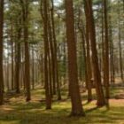 【2026 OpenClaw AI助手完全教學】香港企業如何利用AI工具提升營銷效率