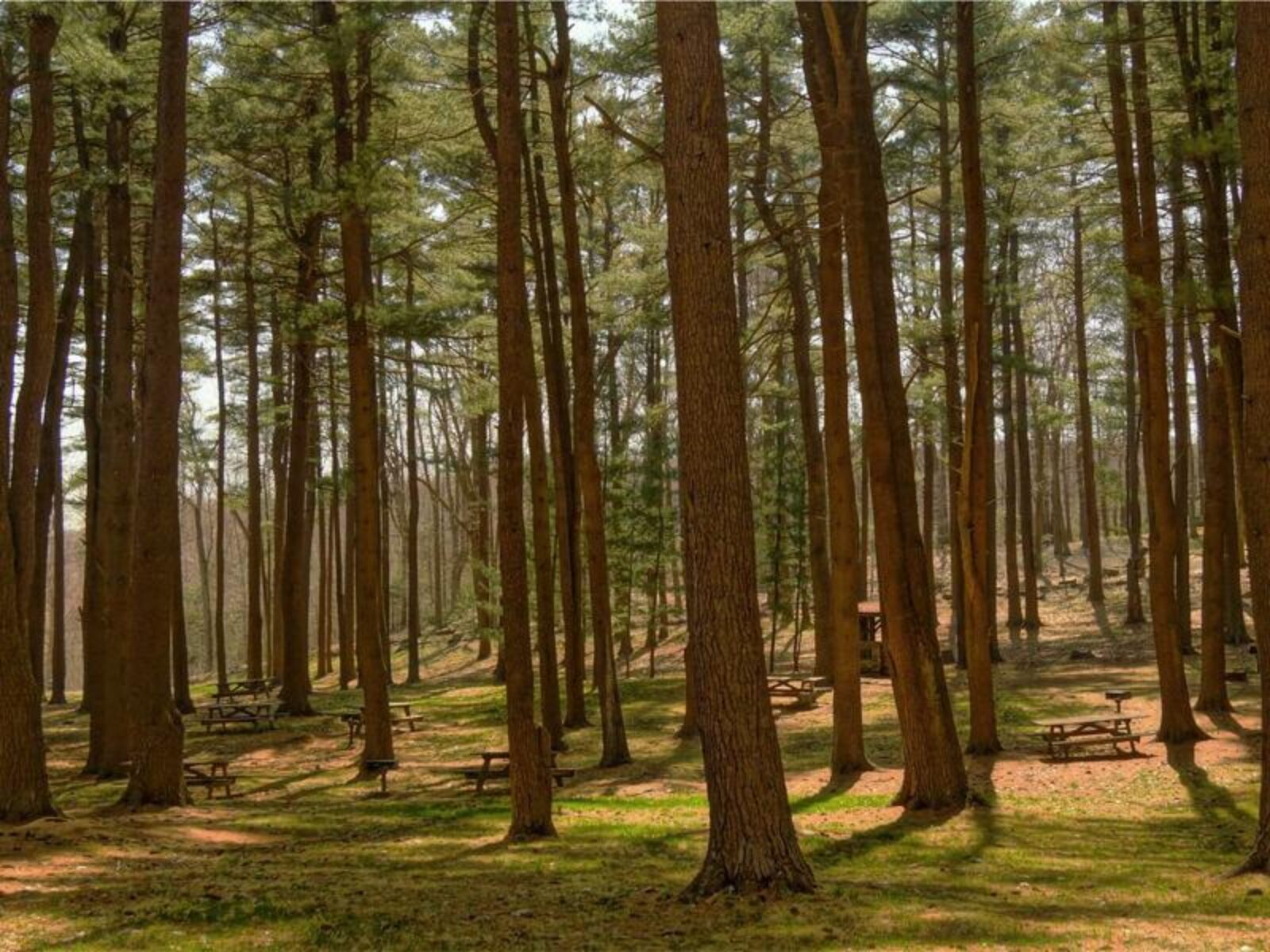 【2026 OpenClaw AI助手完全教學】香港企業如何利用AI工具提升營銷效率