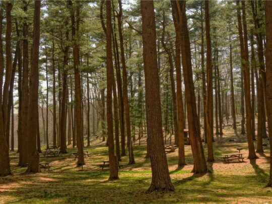 【2026 OpenClaw AI助手完全教學】香港企業如何利用AI工具提升營銷效率