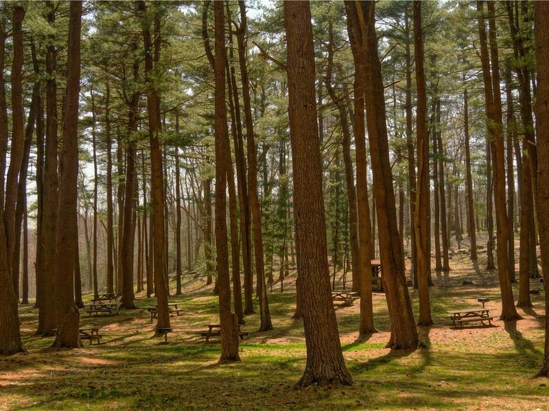 【2026 OpenClaw AI助手完全教學】香港企業如何利用AI工具提升營銷效率