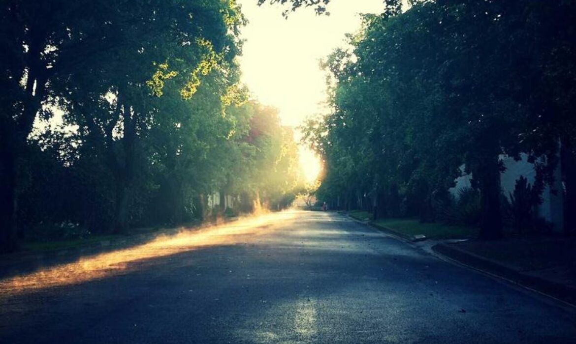 【2026香港AI網頁開發攻略】人工智能如何改變網站製作行業｜AI建站工具推薦