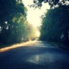 【2026香港AI網頁開發攻略】人工智能如何改變網站製作行業｜AI建站工具推薦