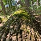 社交媒體營銷 2026｜香港數碼營銷攻略