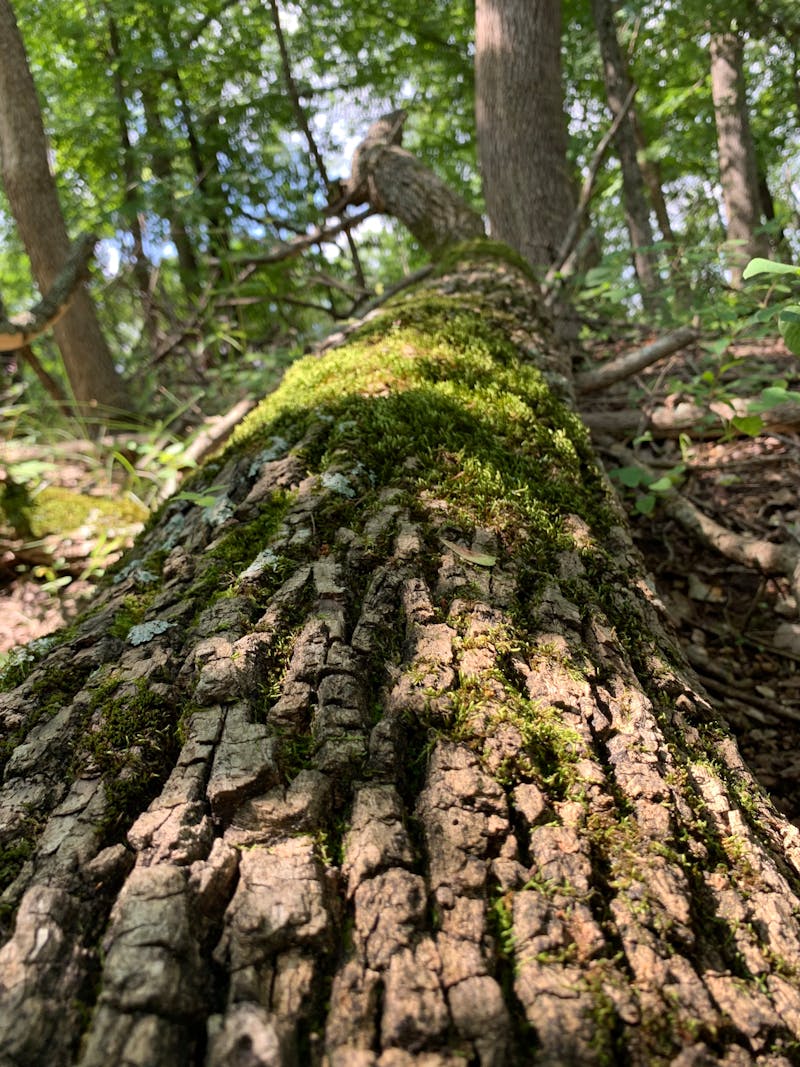 社交媒體營銷 2026|香港數碼營銷攻略